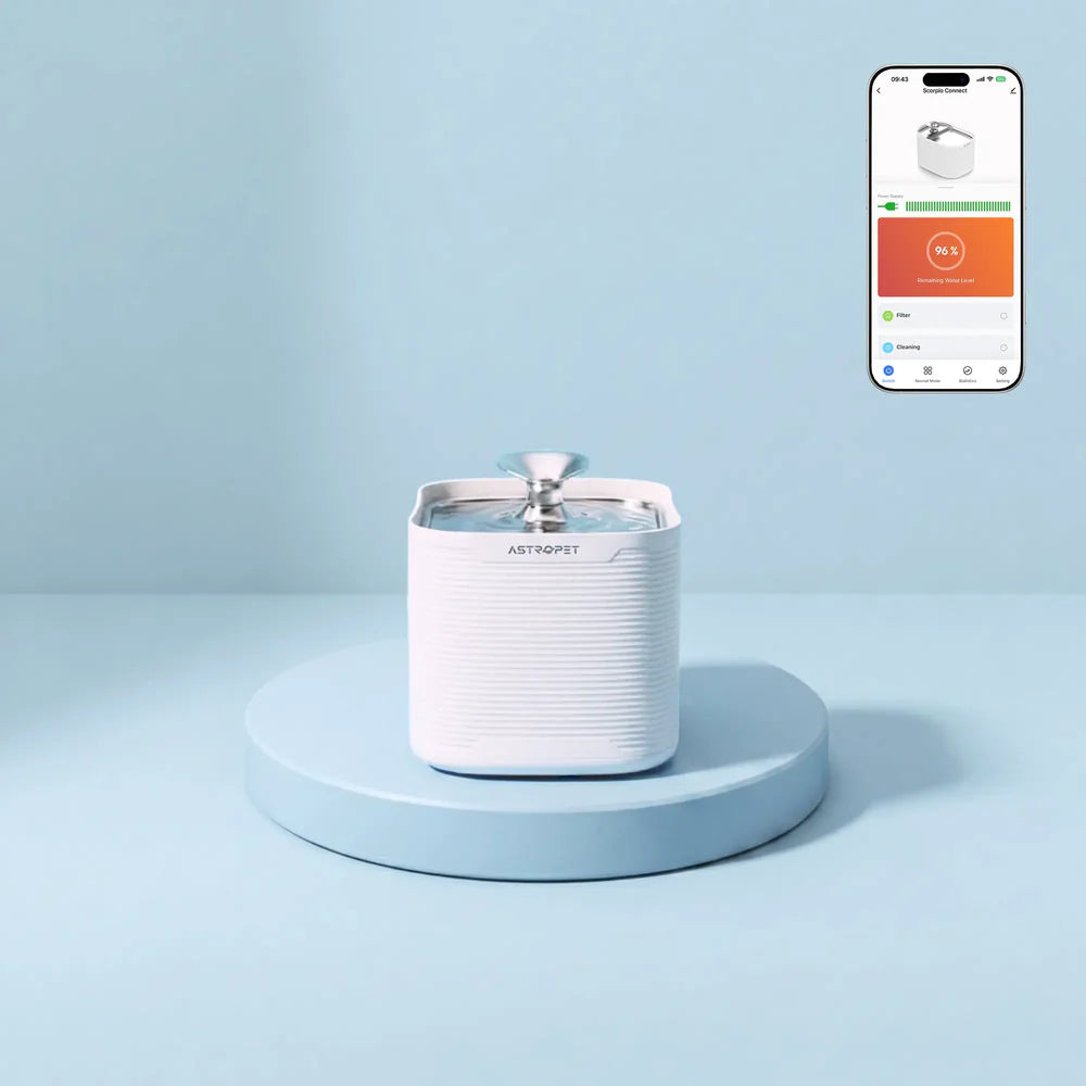 Scorpio Connect - belaidis 2,5 l vandens fontanėlis
